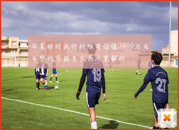 布莱顿对武什科维奇估值3000万或可替代范赫克交易方案解析